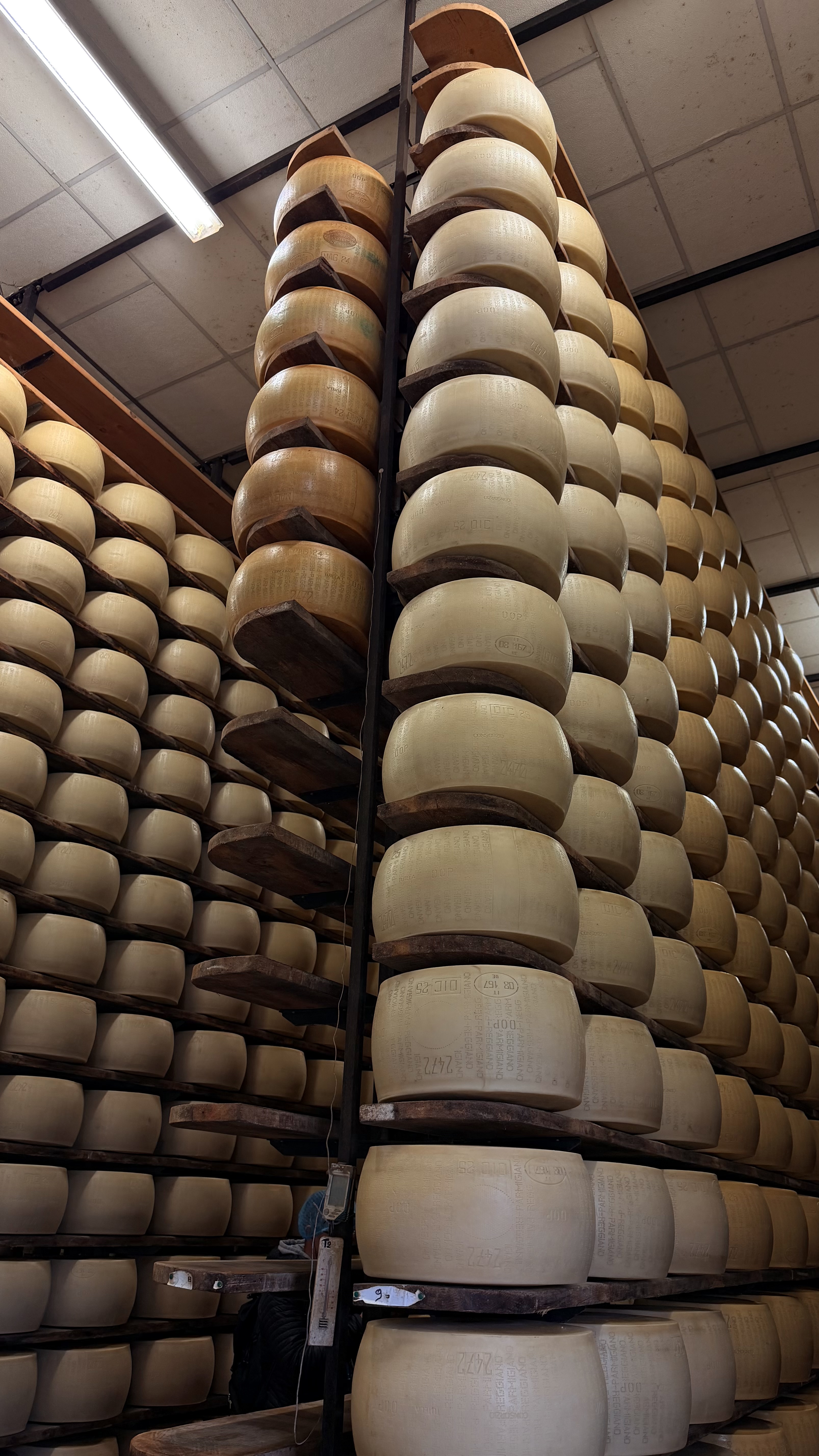 Da Milano a Parma in giornata: l'itinerario perfetto tra gusto e storia